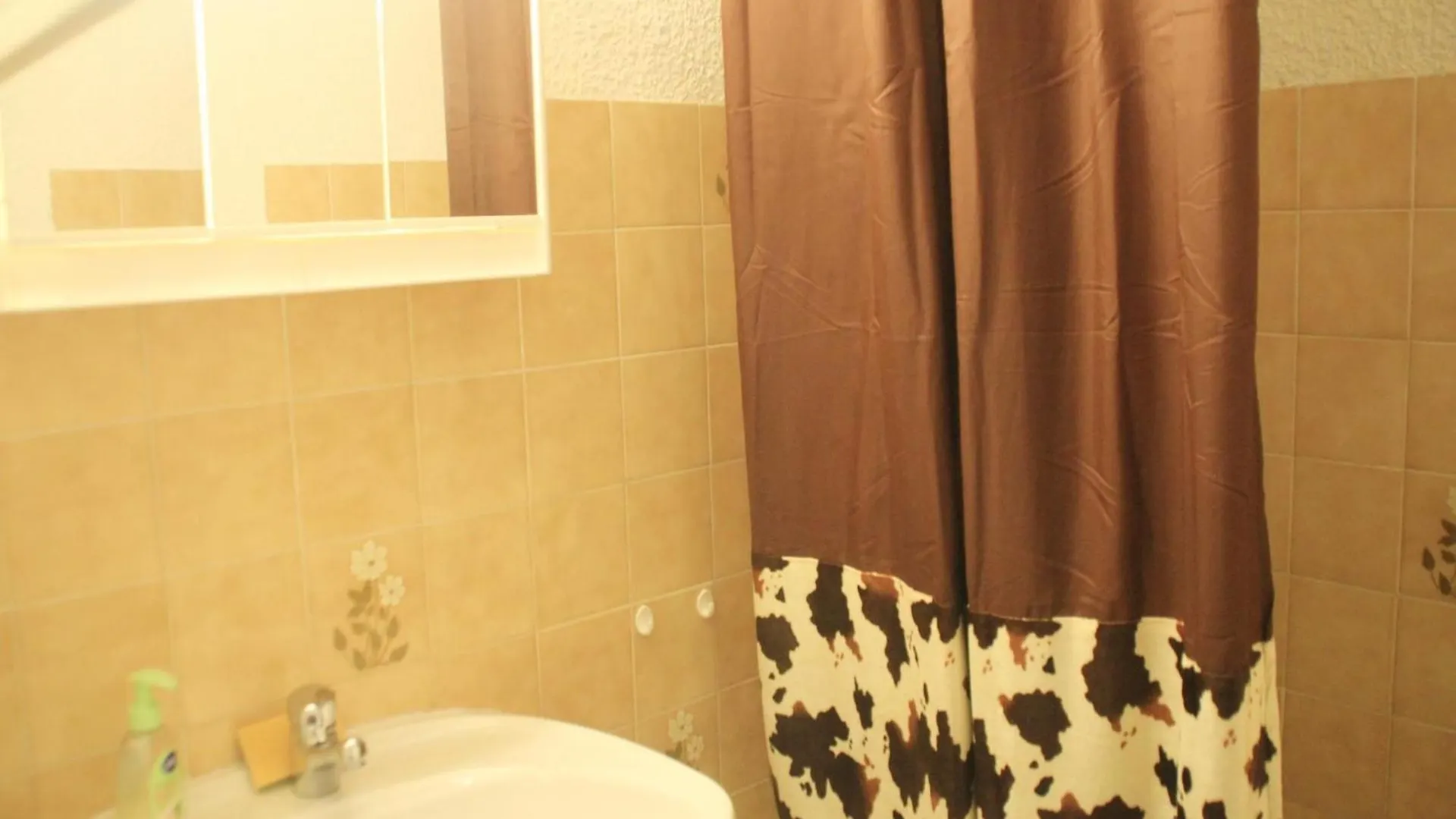 Apartment in Chatel for 5 people 0*,  Frankrig