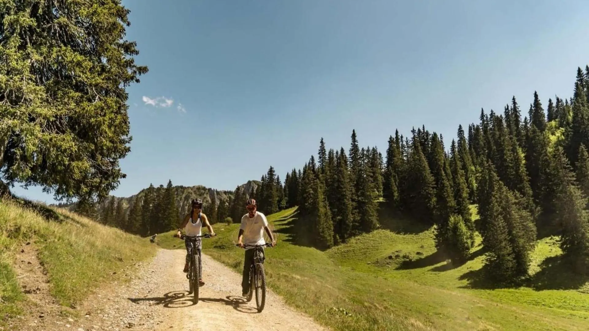 Apartment in Chatel for 5 people 0*,